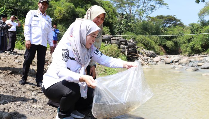 GemaMadani.com - 85 Ribu Benih Ikan Ditebar di Sungai Kalijaga Dorong Ketahanan Pangan dan Ekowisata Perairan