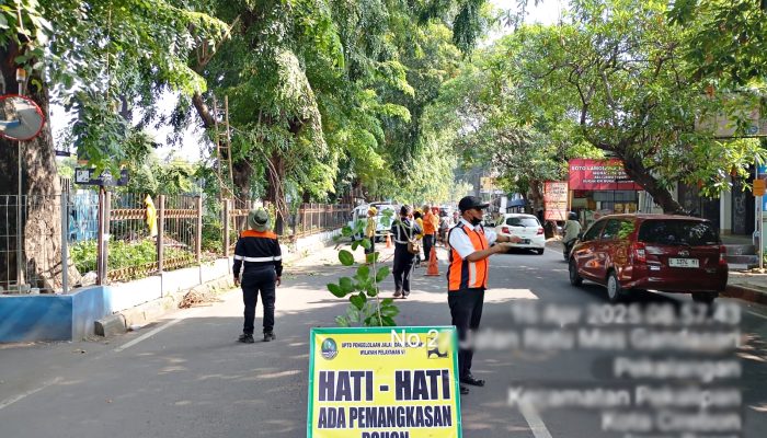 Pemangkasan Pohon di Sekitar Stasiun Cirebonprujakan Dilakukan KAI Daop 3 Cirebon Untuk Keselamatan Pengguna Jalan dan Perjalanan Kereta Api