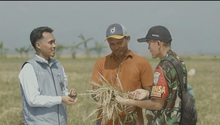 Serapan Tembus 2.000.524 Ton Setara Beras, Stok Bulog Tembus 3,6 Juta Ton