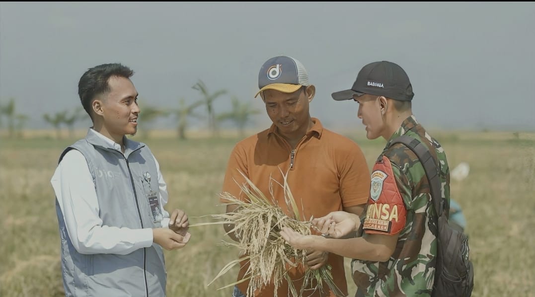 GemaMadani.com - Serapan Tembus 2.000.524 Ton Setara Beras, Stok Bulog Tembus 3,6 Juta Ton