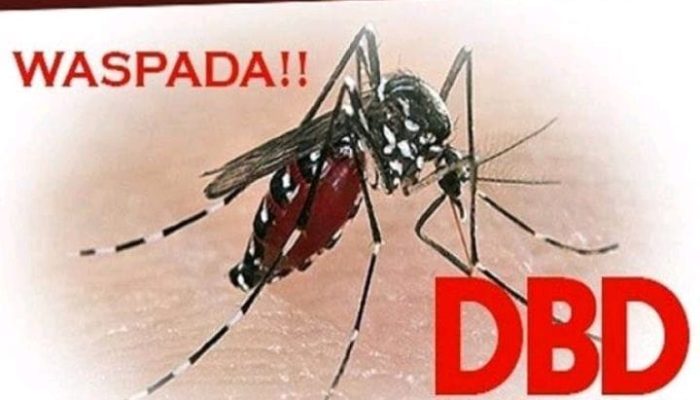 Warga Desa Astana, Kecamatan Gunung Jati, Kabupaten Cirebon Desak Pemerintah Desa Segera Turun Tangan Dengan Meningkatnya Kasus DBD