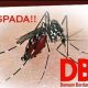 GemaMadani.com - Warga Desa Astana, Kecamatan Gunung Jati, Kabupaten Cirebon Desak Pemerintah Desa Segera Turun Tangan Dengan Meningkatnya Kasus DBD