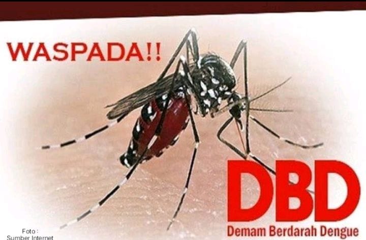 GemaMadani.com - Warga Desa Astana, Kecamatan Gunung Jati, Kabupaten Cirebon Desak Pemerintah Desa Segera Turun Tangan Dengan Meningkatnya Kasus DBD