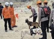 GemaMadani.com - Unit K-9 Polda Jabar Temukan Tiga Titik Diduga Korban Longsor di Gunung Kuda Cirebon