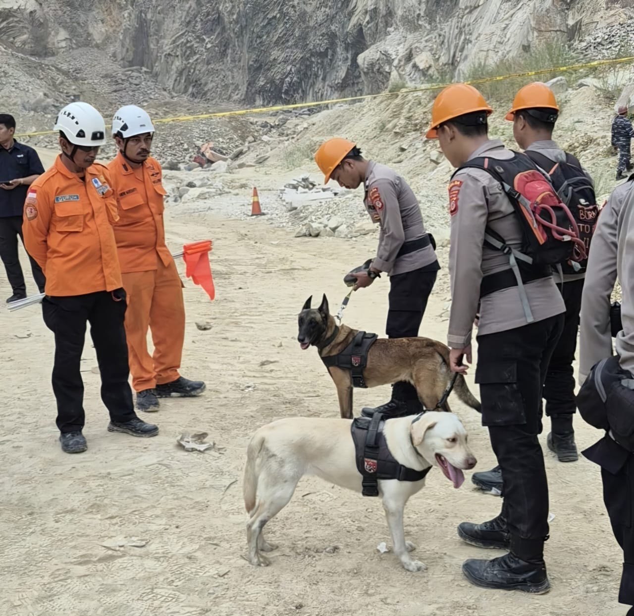 GemaMadani.com - Unit K-9 Polda Jabar Temukan Tiga Titik Diduga Korban Longsor di Gunung Kuda Cirebon