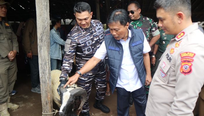 Wali Kota Cirebon Pastikan Hewan Kurban Aman dan Sehat Jelang Idul Adha