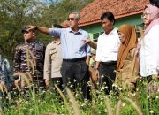 Wali Kota Sidak Tambang Galian C, Pemkot Siapkan Larangan Resmi
