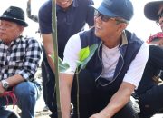 GemaMadani.com Penanaman Mangrove Upaya Bersama Jaga Ekosistem Pesisir Dan Lingkungan Hidup
