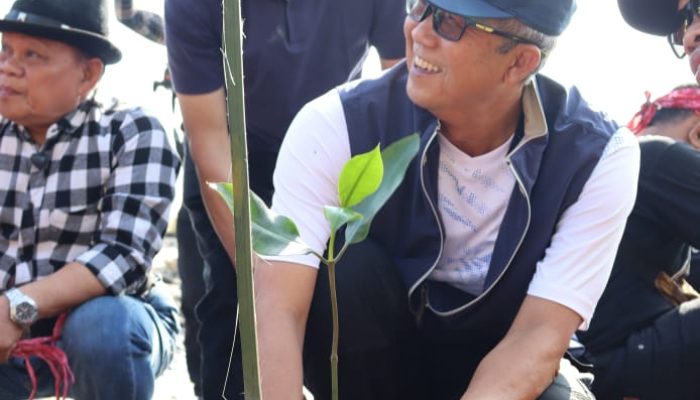 Penanaman Mangrove Upaya Bersama Jaga Ekosistem Pesisir dan Lingkungan Hidup