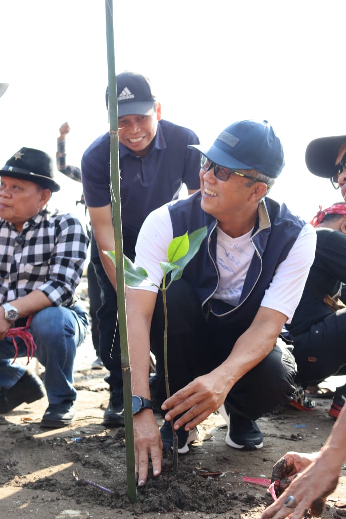 GemaMadani.com Penanaman Mangrove Upaya Bersama Jaga Ekosistem Pesisir Dan Lingkungan Hidup