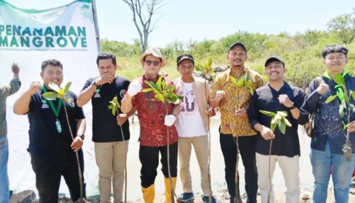 Peringati Hari Mangrove, PB HMI dan Cirebon Power Tanam Ribuan Mangrove di Pesisir Cirebon