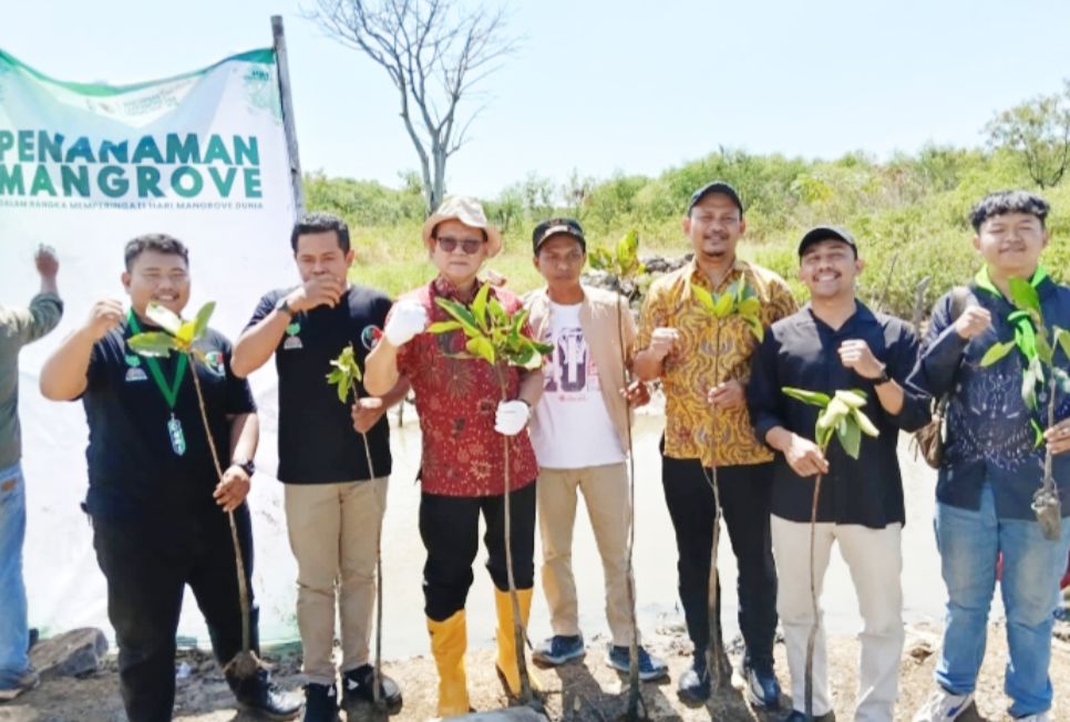 GemaMadani.com Peringati Hari Mangrove PB HMI Dan Cirebon Power Tanam Ribuan Mangrove Di Pesisir Cirebon