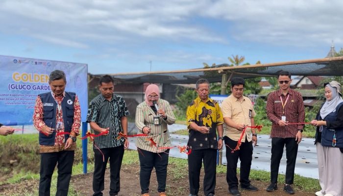 Mahasiswa UMP Luncurkan Program “GOLDEN” di Baturraden: Inovasi Kebun Herbal Cegah Diabetes