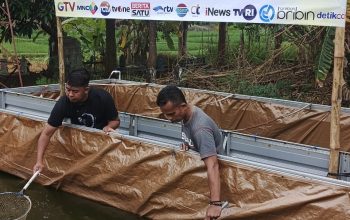 Sebagai Wujud Kepedulian Jurnalis Terhadap Ketahanan Pangan, IJTI Cirebon Raya Bikin Program IJTI Farm