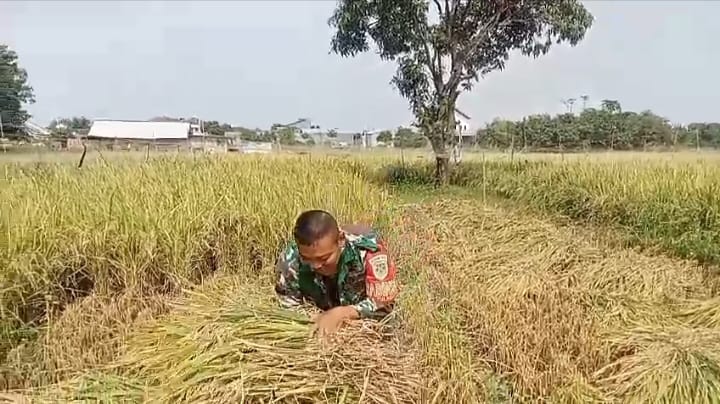 IMG 20251126 WA0071