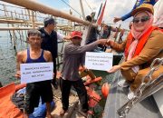 Pemkot Cirebon Optimalkan Budidaya Kerang Hijau, Memberikan Program Bantuan untuk Peningkatan Hasil Produksi