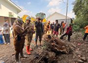 Wakil Wali Kota Tinjau Tanggul Jebol di Kalijaga, Dorong Normalisasi Sungai dan Sinergi Lintas Sektoral