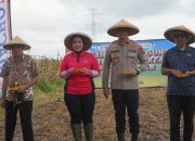 Polres Cirebon Kota Dukung Ketahanan Pangan Nasional, Siapkan 11 Hektare Lahan Jagung