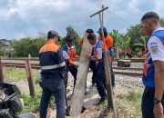 KAI Daop 3 Cirebon Tutup 16 Perlintasan Sebidang Sepanjang Tahun 2025, Tingkatkan Keselamatan Penumpang dan Pengguna Jalan