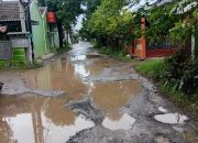 Jalan Hancur Bak Kubangan Kerbau, Warga Perumahan Taman Kaliwulu Indah Protes Minta Pengembang Perumahan Tanggungjawab