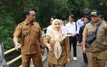 Wakil Wali Kota Tinjau Lokasi Longsor di Jembatan Lebakngok, Pemkot Cirebon Gandeng BBWS untuk Perbaikan