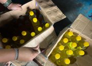 Dalam Operasi Pekat I Lodaya 2026, Polsek Selatan Timur Amankan Puluhan Botol Miras di Bulan Ramadan