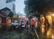 Polisi Bersama Tim Gabungan Bergerak Cepat Atasi Pohon Tumbang di Karanggetas