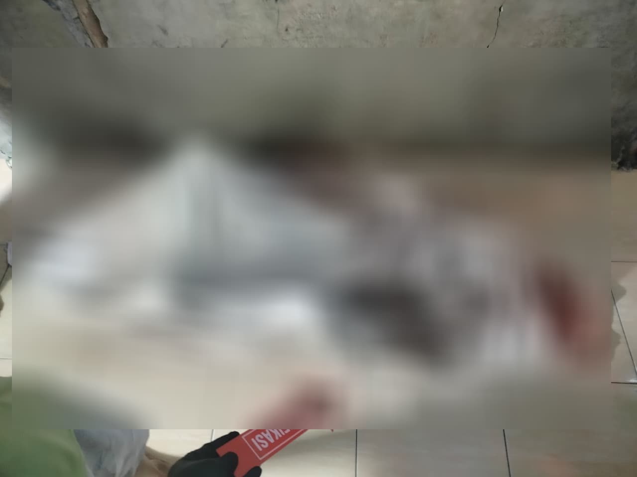 IMG 20260322 WA0029 1