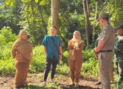 Tinjau Revitalisasi Sentra Pedagang Bunga di Dukuh Semar, Wakil Wali Kota Dorong Ekonomi dan Wisata Baru