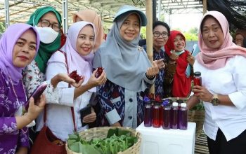 Niken Saptarini Widiyawati; Mendobrak Sekat Tradisi, Menenun Kesetaraan Di Bumi Gora