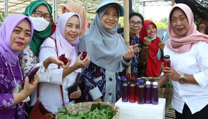 Niken Saptarini Widiyawati; Mendobrak Sekat Tradisi, Menenun Kesetaraan Di Bumi Gora