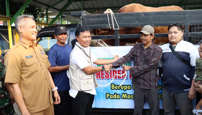 Jamin Keamanan Ibadah Kurban, Wali Kota Cirebon Tinjau Kelayakan Hewan di Lima Titik