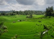 Lampaui Target, LP2B Capai 87,63 Persen di Momen Peringatan 66 Tahun UUPA