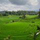 IMG 20260929 WA0049 1